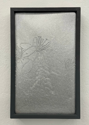 Aline Schwörer, Medicinal Plant (Verbena)