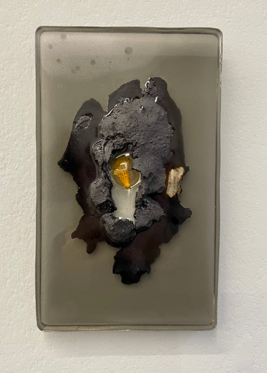 Aline Schwörer, Medicinal Plant (Grapefruit)