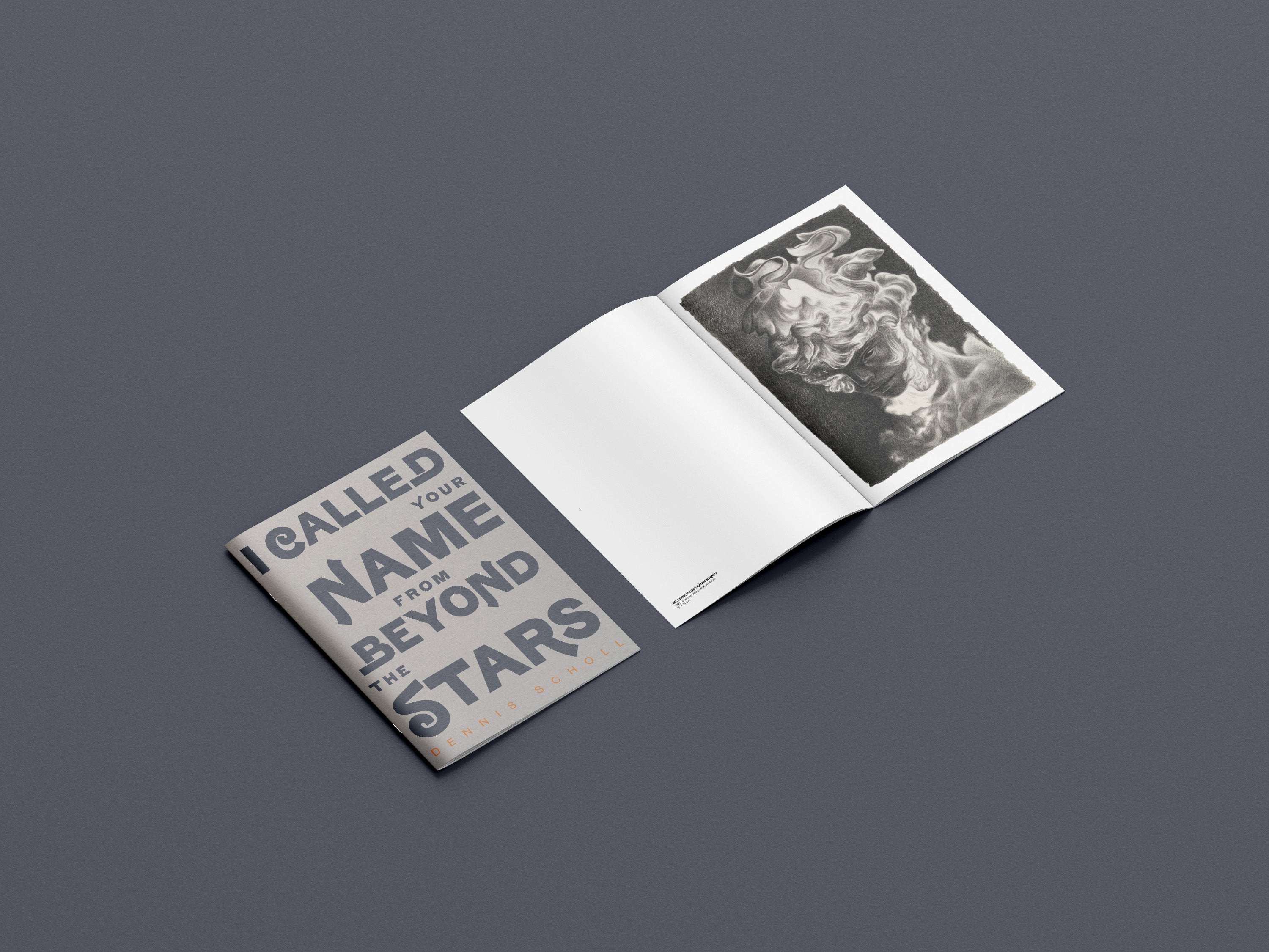 Open book by Dennis Scholl with text and black and white image on a dark gray background