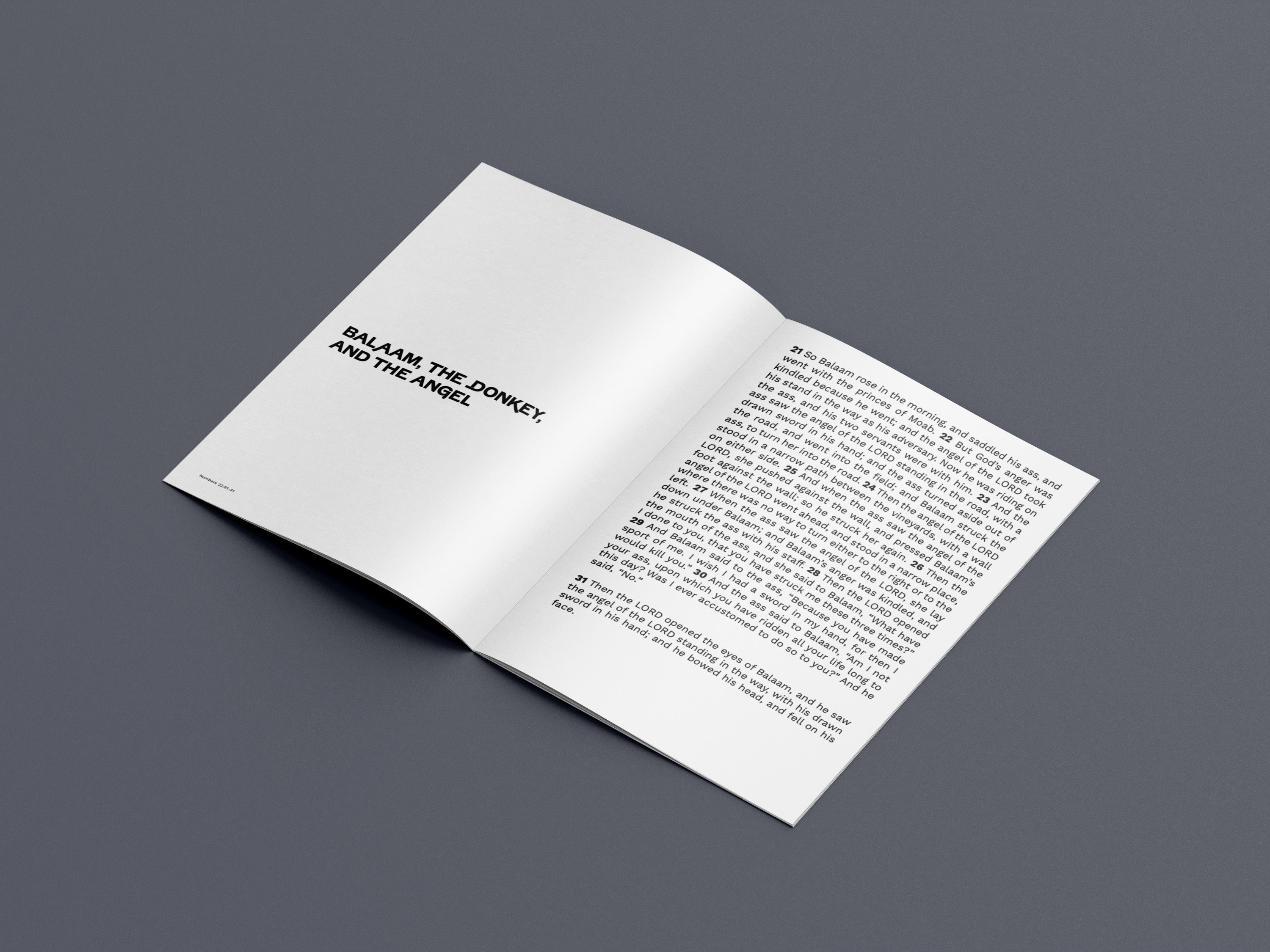 New catalogue by Dennis Scholl