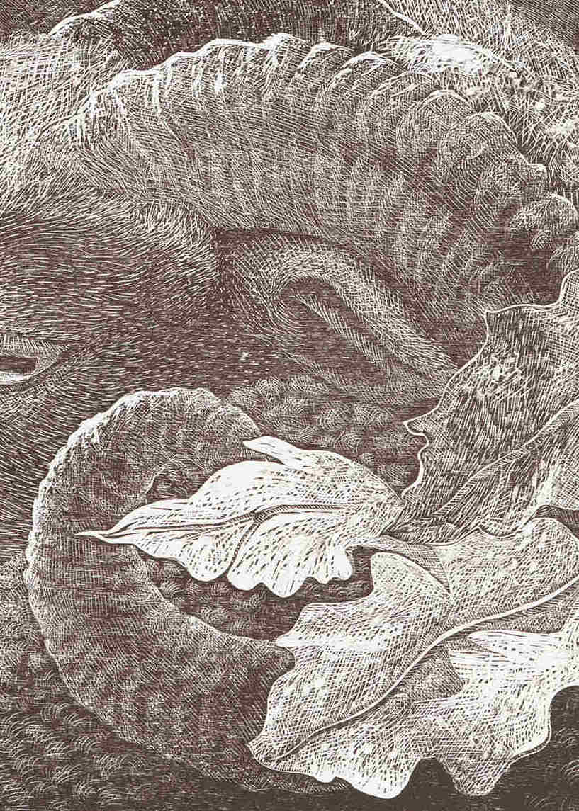 Close-up of woodcut by Dennis Scholl with leaf-like patterns