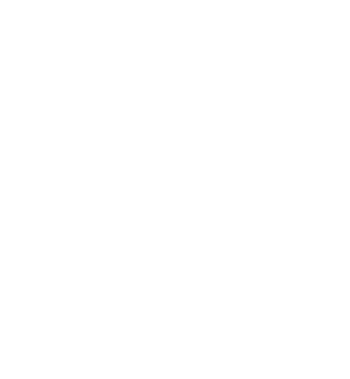 Friday Bird Logo inverted