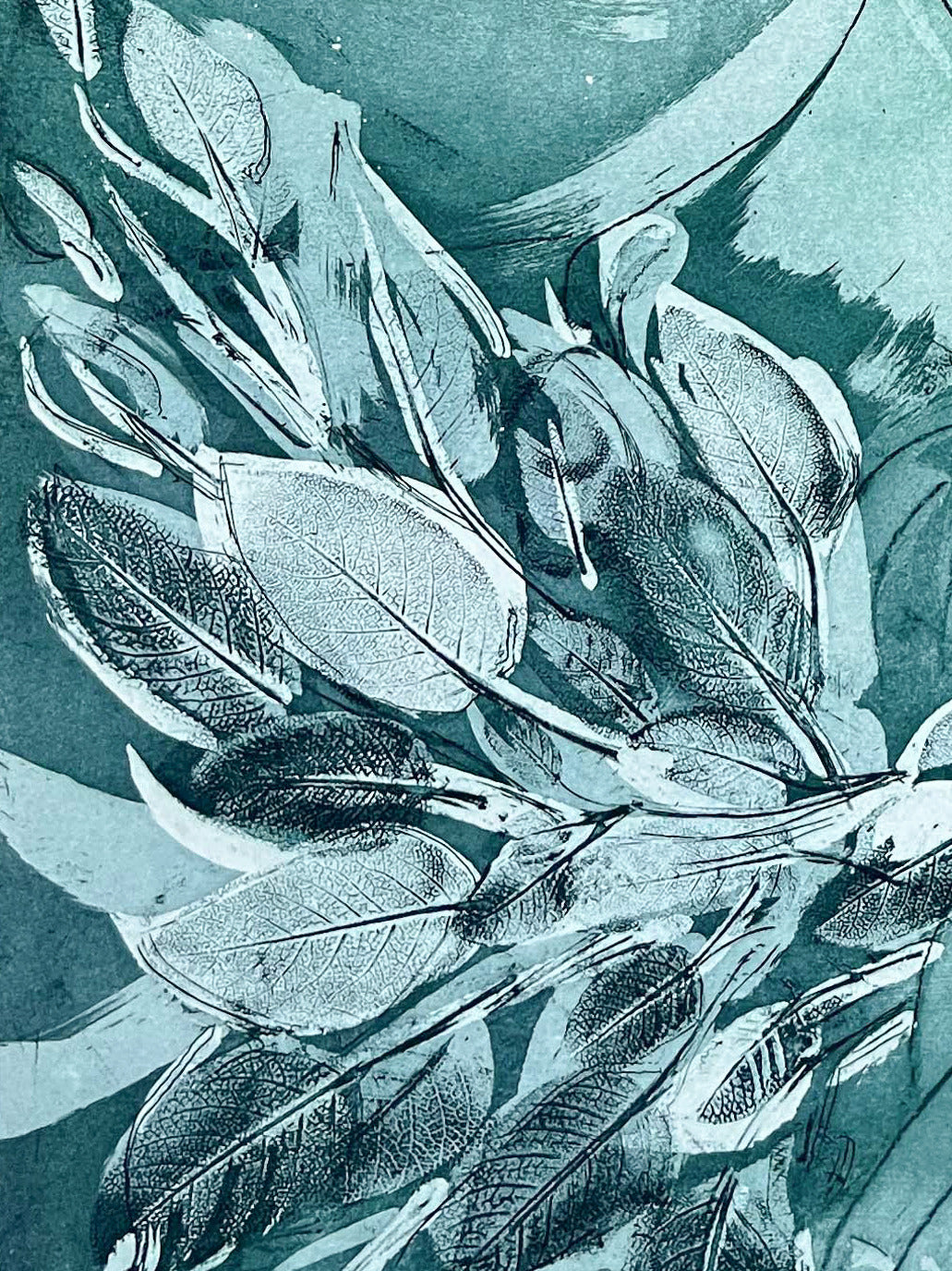 Detail of a bundle of sage leaves in an etching by artist Donna Volta Newmen