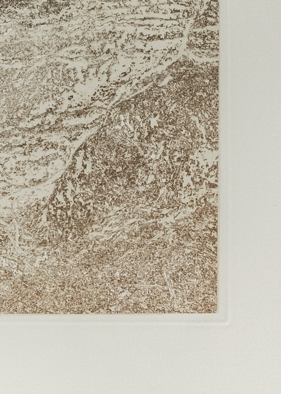 Textured brown and beige pattern of an etching with a detail of the laid paper