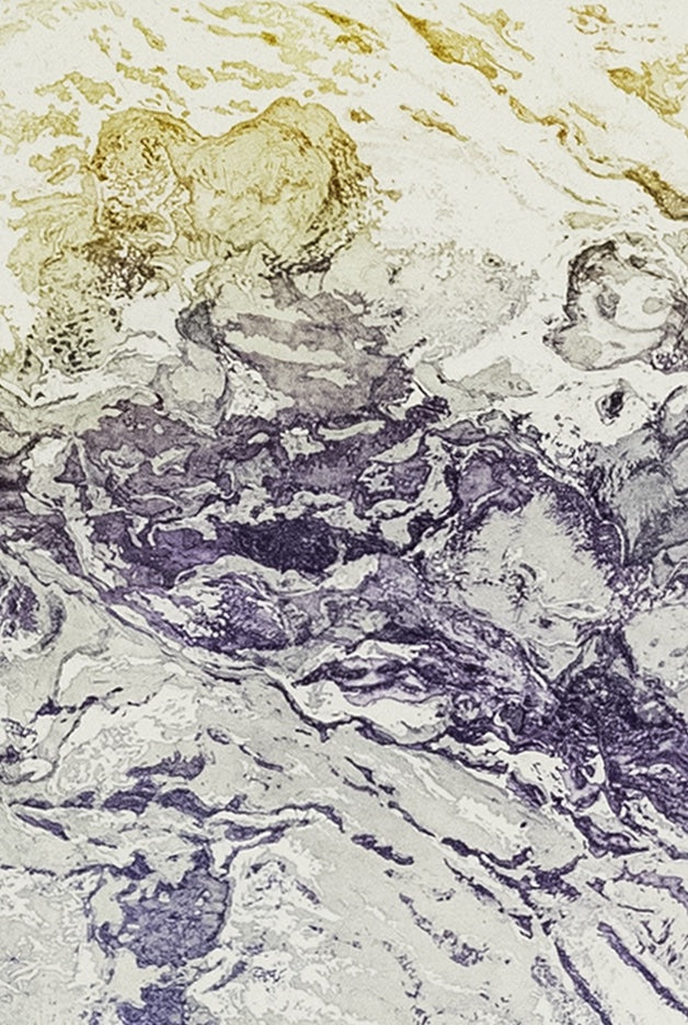 Detail of an etching by Erika Richter in purple and yellow showing abstract motifs.