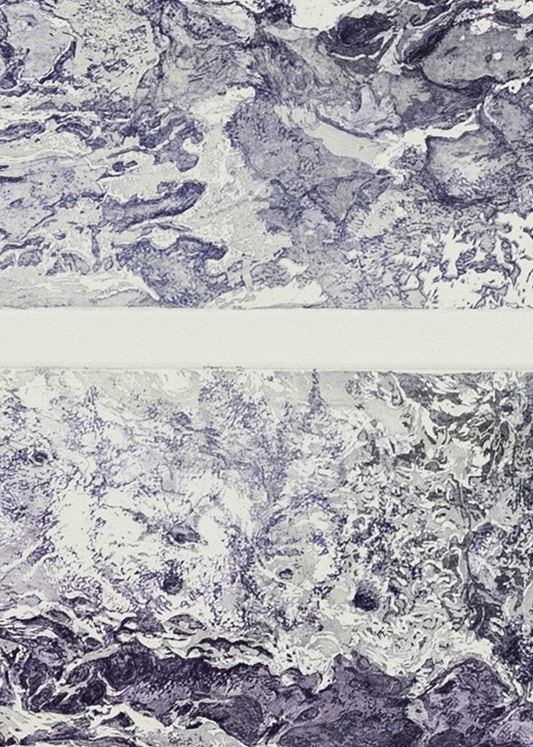 Detail of an etching by Erika Richter in purple and yellow showing abstract motifs.