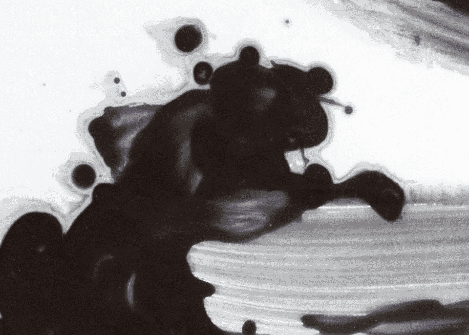 Detail of etching by Agathe de Bailliencourt showing a black watercolor texture