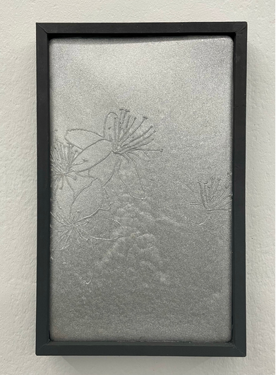 Aline Schwörer, Medicinal Plant (Verbena)