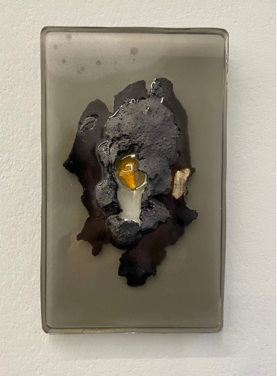 Aline Schwörer, Medicinal Plant (Grapefruit)