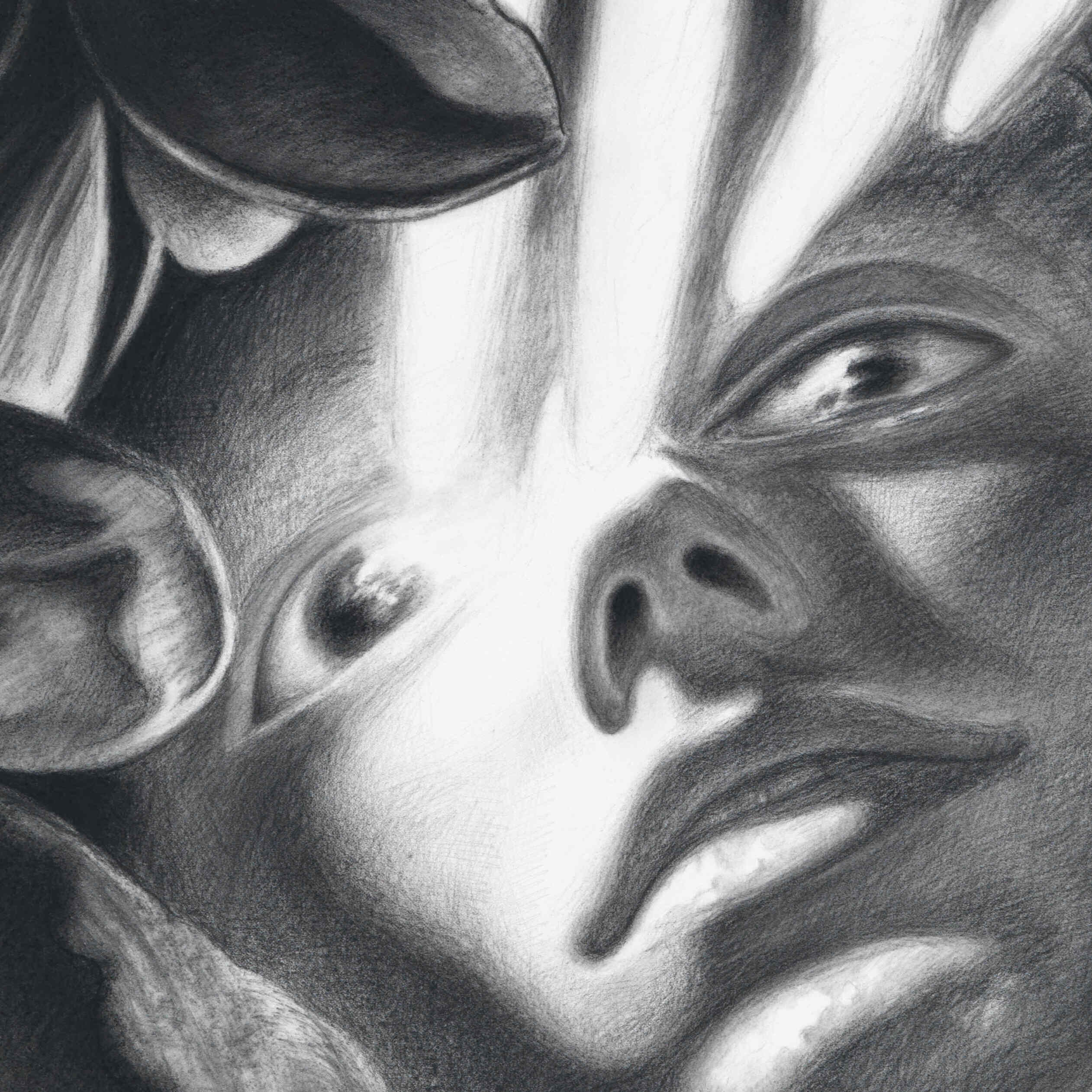 Close-up of a detailed pencil drawing of a face with floral elements by Dennis Scholl