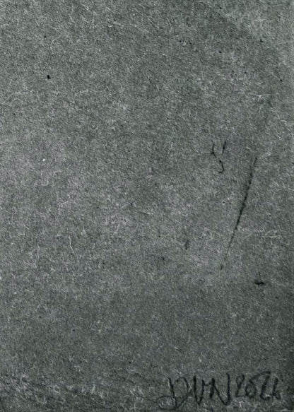Etching 'Alraune' by Donna Volta Newmen
