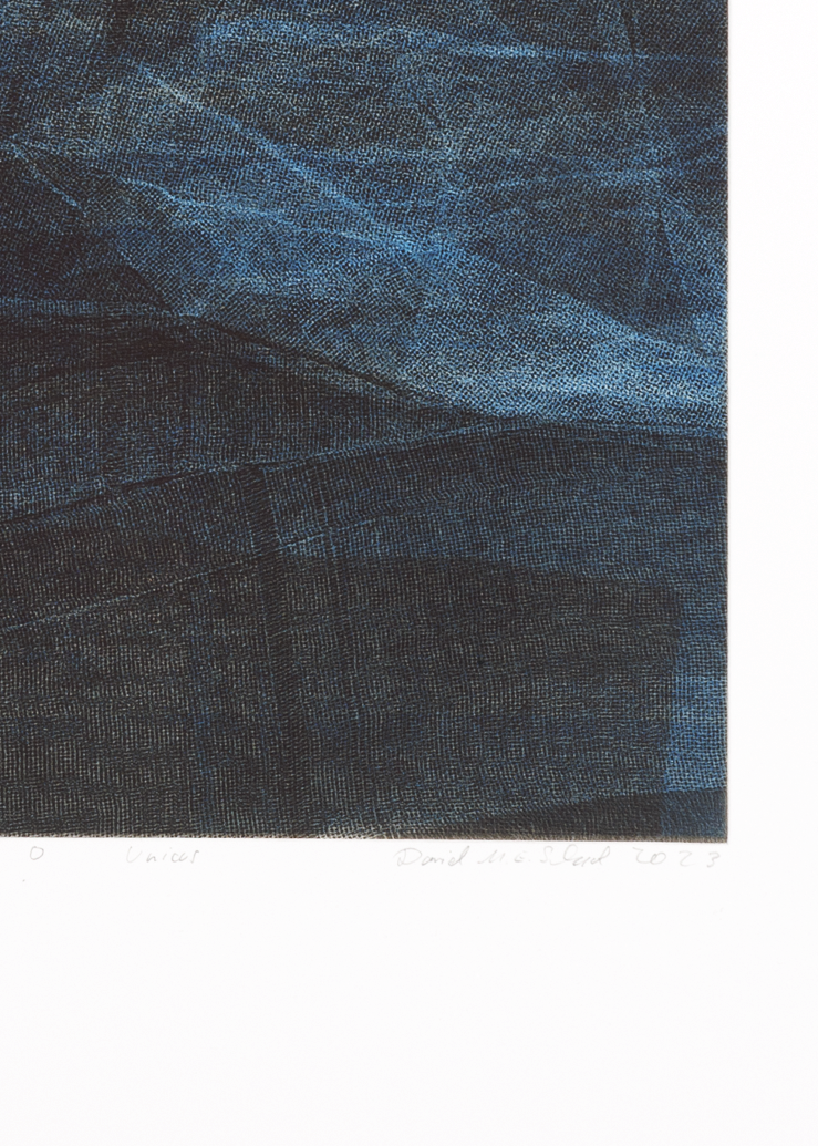 Detail of a textured blue print with artist signature