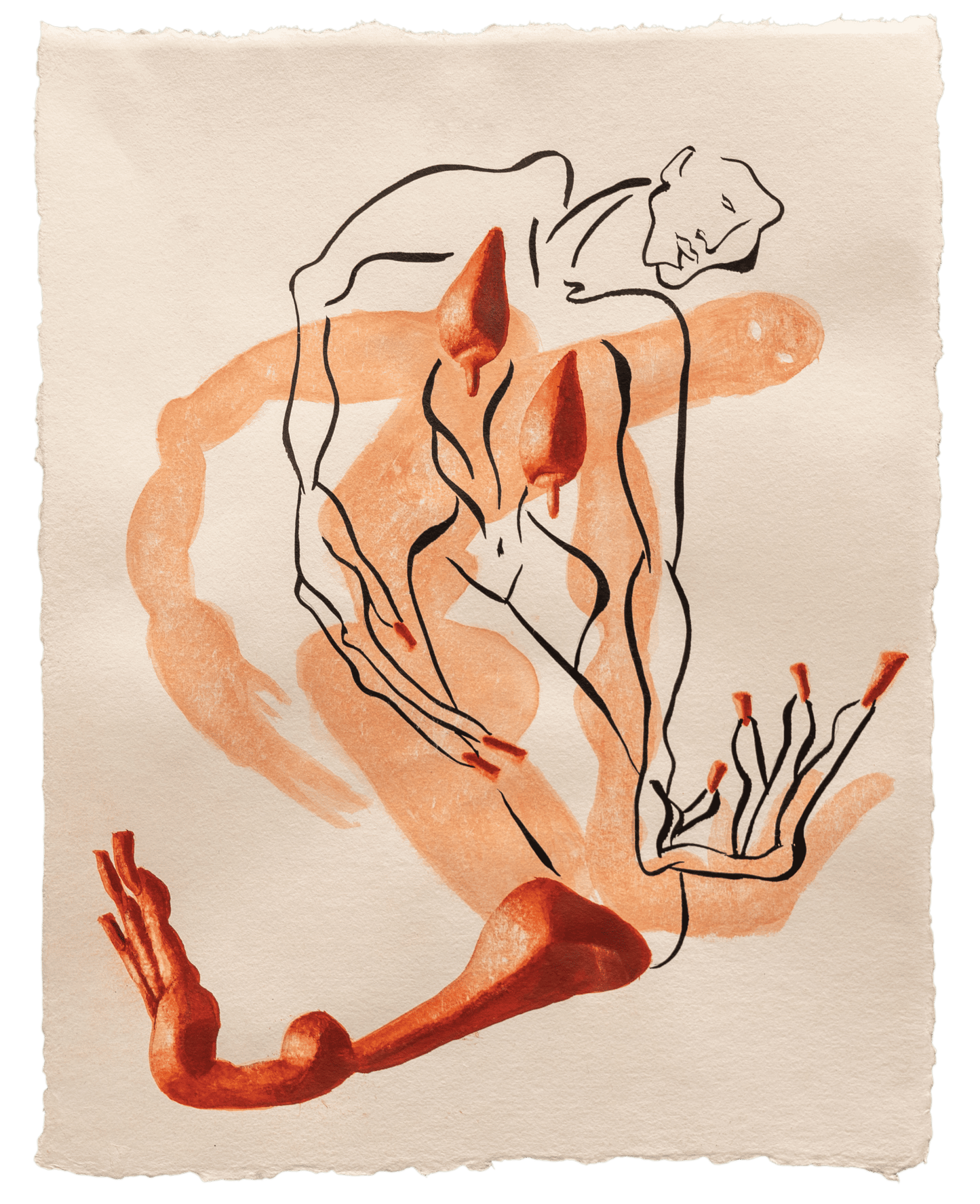 Ink on Paper by Cathrin Hoffmann
