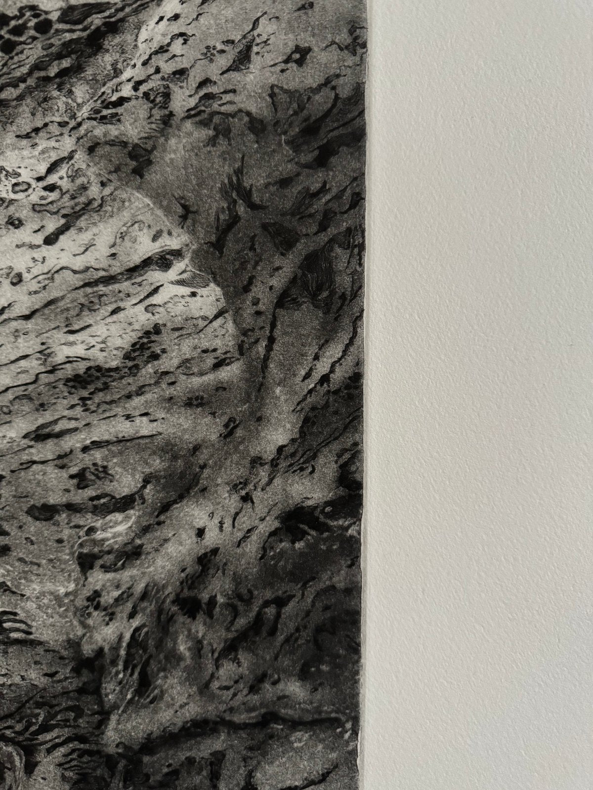 Detail of an etching by Erika Richter showing a rock formation. 