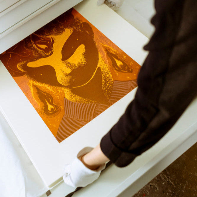 Photograph of a woodcut by Dennis Scholl in the drawer of a graphic's cabinet that is being lifted out by two hands with white gloves. 