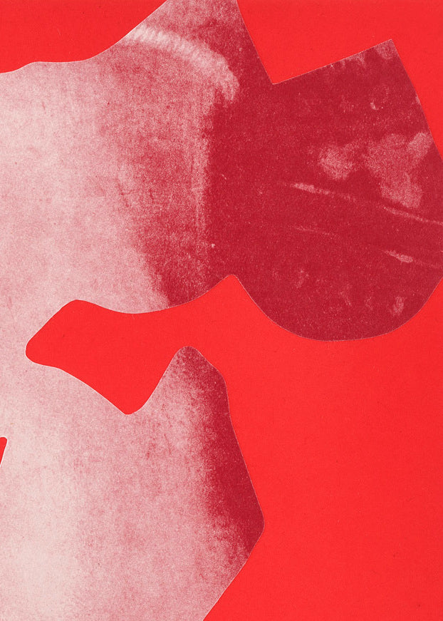 Detail of a red collage