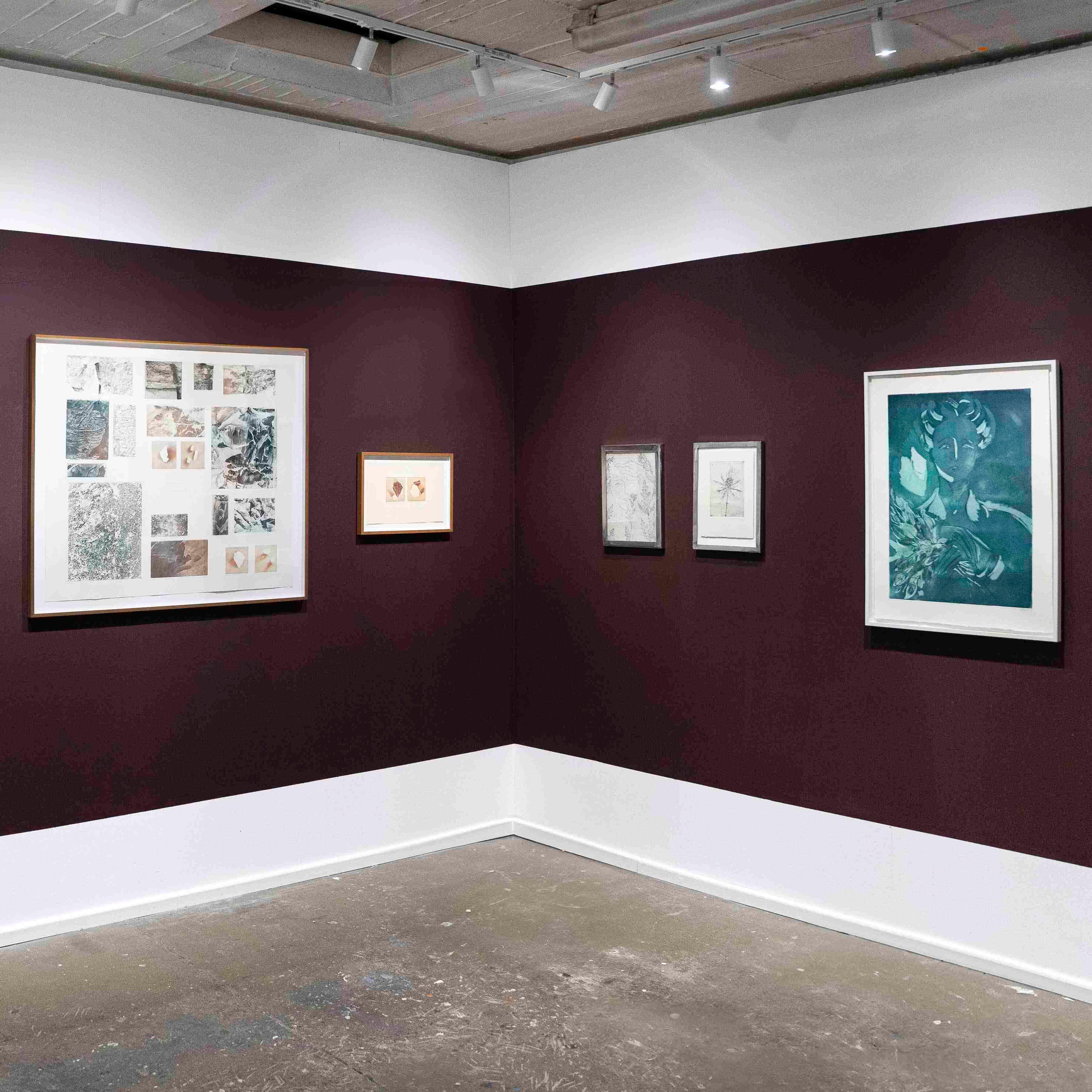Installation view of Fine Line by Erika Richter and Donna Volta Newmen