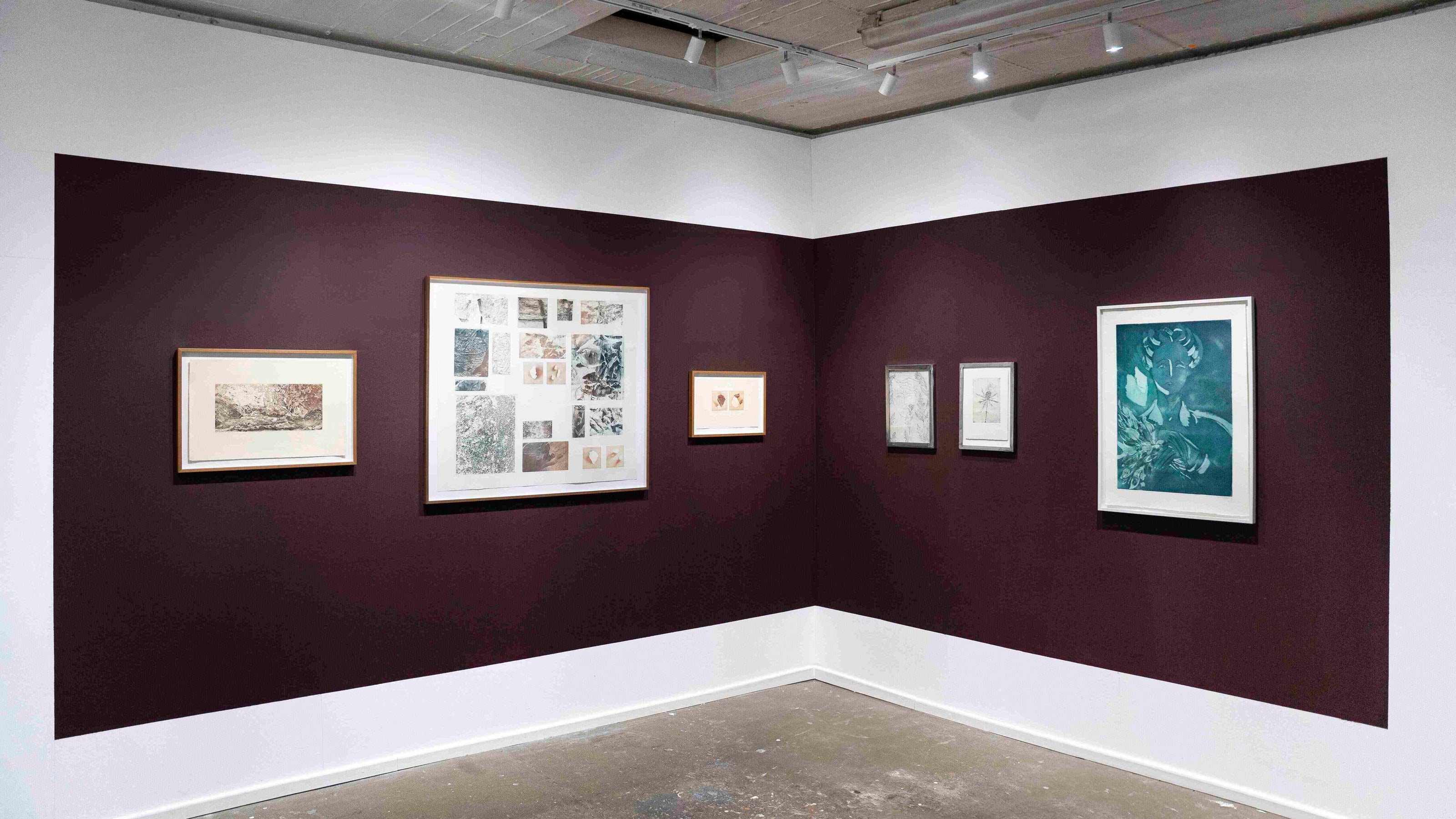 Art gallery with framed artworks by Erika Richter and Donna Volta Newmen on a dark wall.